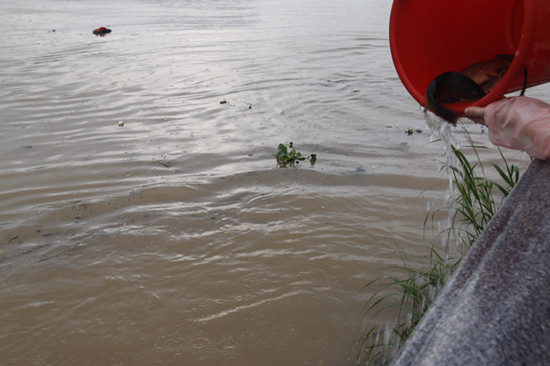 2013年5月19日放生 