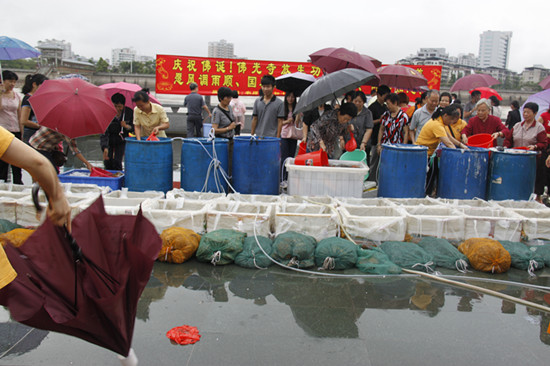 2013年5月19日放生 