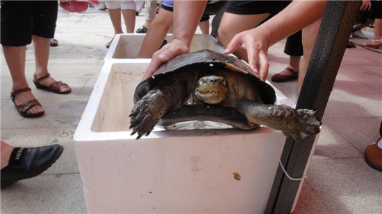 2013年5月19日放生 