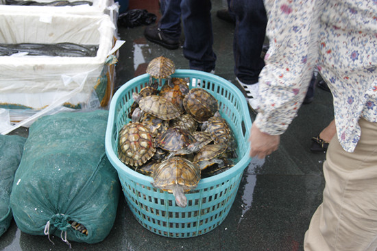 2013年5月19日放生 