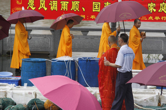 2013年5月19日放生 