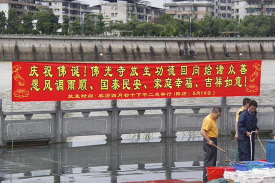 2013年5月19日放生 