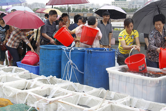 2013年5月19日放生 