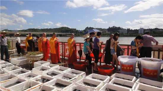 2013年5月19日放生 