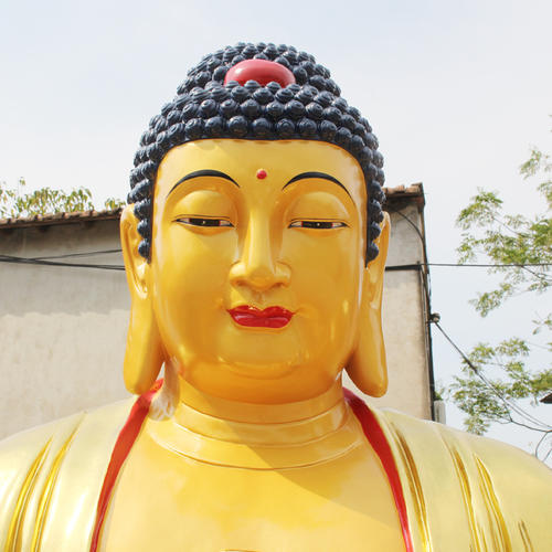 阿弥陀佛圣诞冥阳两利七天法